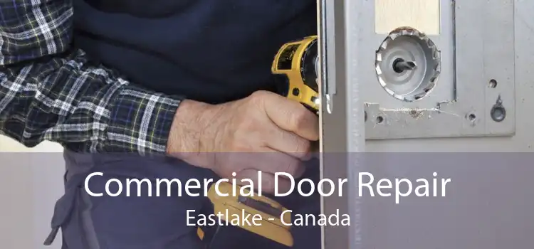 Commercial Door Repair Eastlake - Canada