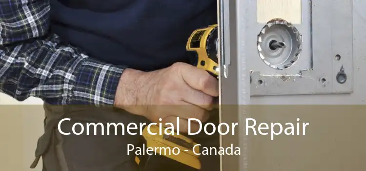 Commercial Door Repair Palermo - Canada