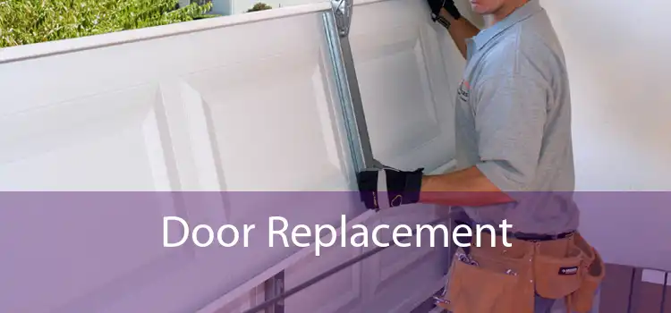 Door Replacement
