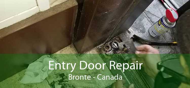 Entry Door Repair Bronte - Canada