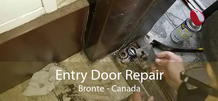 Entry Door Repair Bronte - Canada