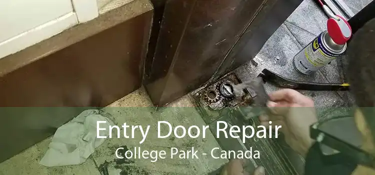 Entry Door Repair College Park - Canada