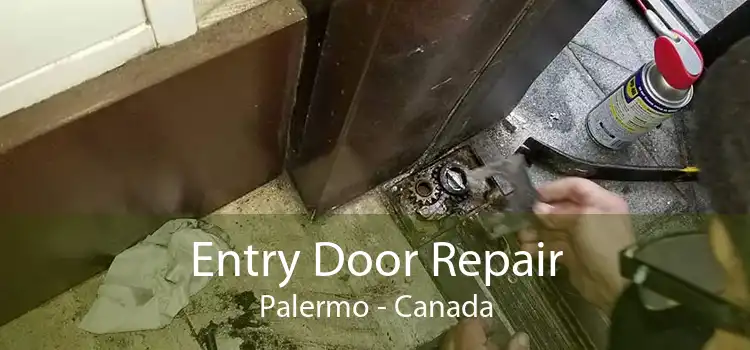Entry Door Repair Palermo - Canada