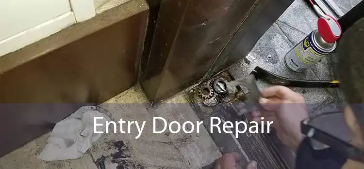 Entry Door Repair