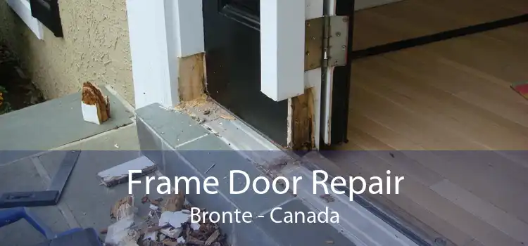 Frame Door Repair Bronte - Canada