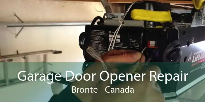 Garage Door Opener Repair Bronte - Canada