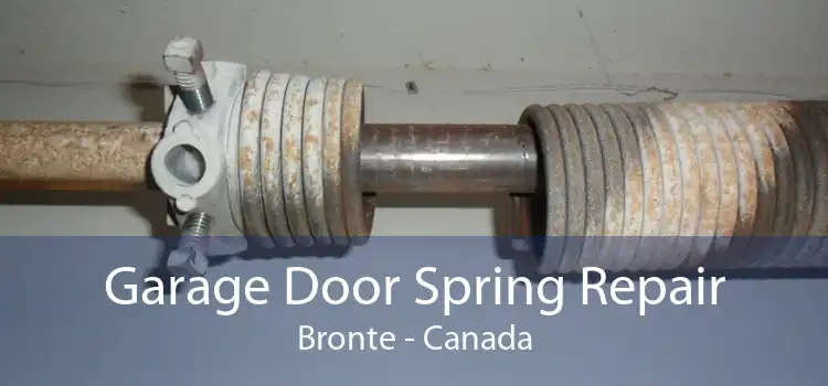 Garage Door Spring Repair Bronte - Canada