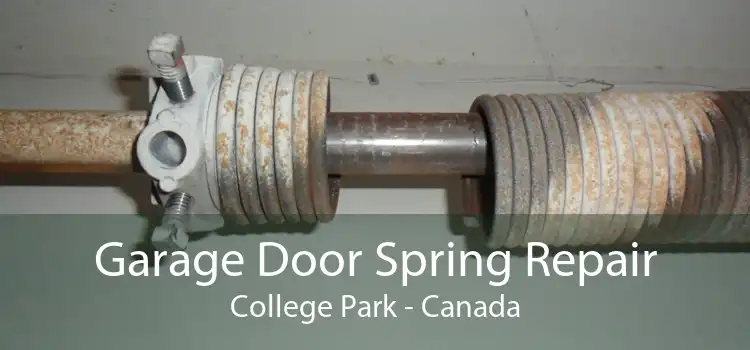 Garage Door Spring Repair College Park - Canada