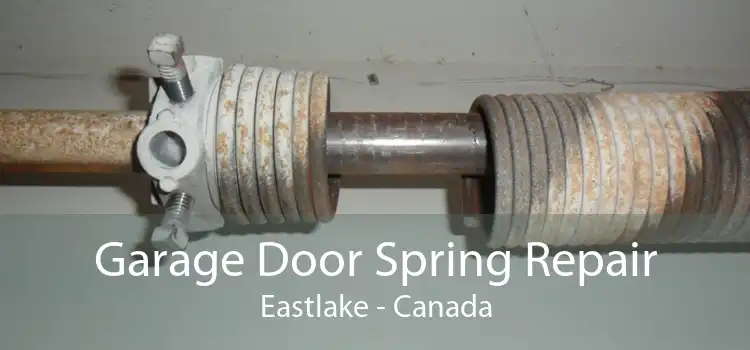 Garage Door Spring Repair Eastlake - Canada