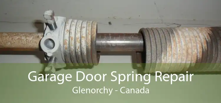 Garage Door Spring Repair Glenorchy - Canada