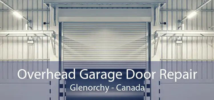 Overhead Garage Door Repair Glenorchy - Canada