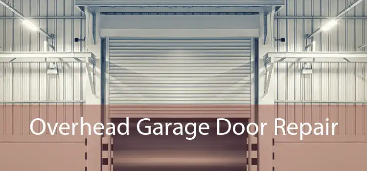 Overhead Garage Door Repair 