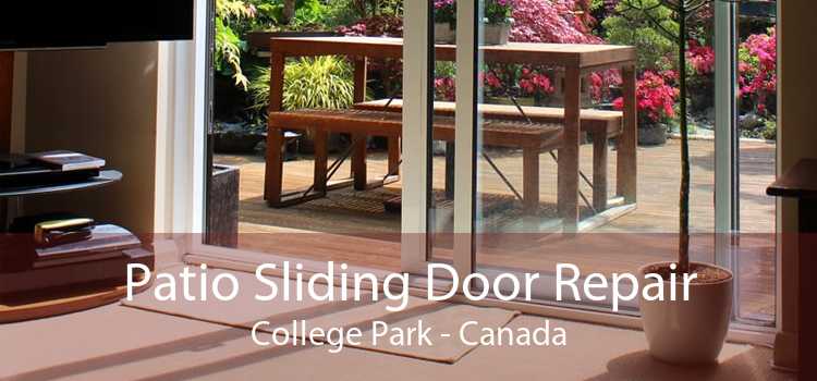 Patio Sliding Door Repair College Park - Canada