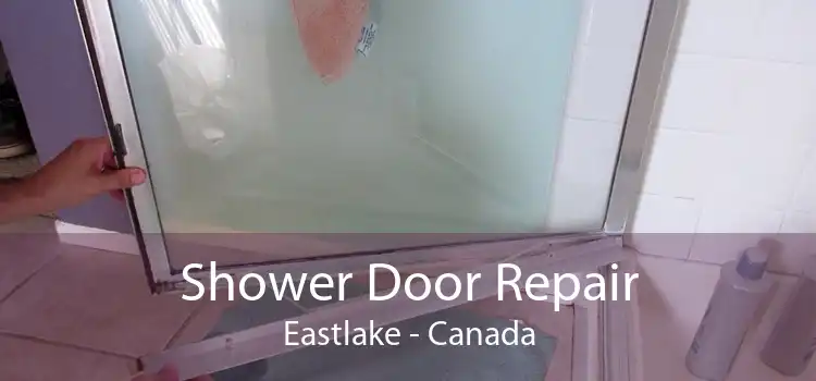 Shower Door Repair Eastlake - Canada