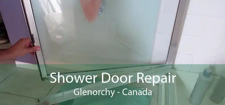 Shower Door Repair Glenorchy - Canada