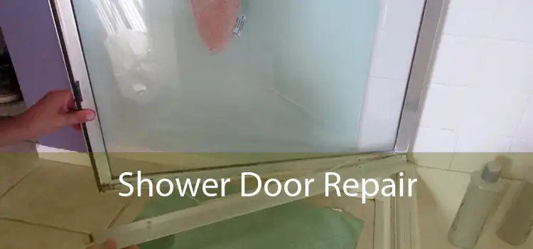 Shower Door Repair