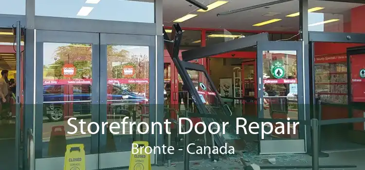 Storefront Door Repair Bronte - Canada