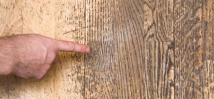 Wood Door Scratch Repair in Glenorchy